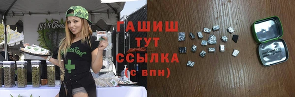 скорость Каменка