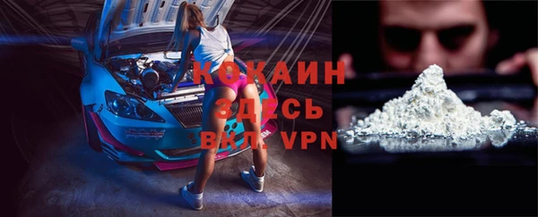 скорость Каменка