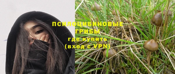 молекула духа Каменск-Шахтинский
