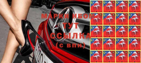 скорость Каменка