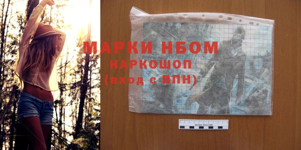 скорость Каменка