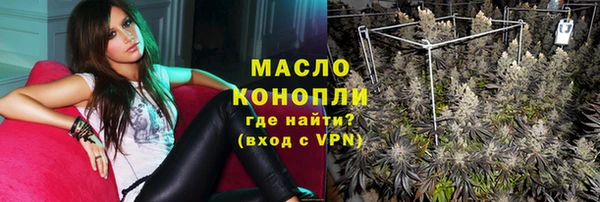 скорость Каменка