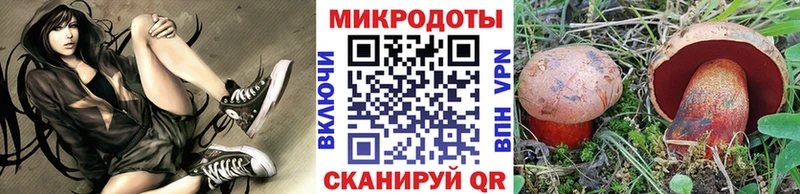Галлюциногенные грибы Cubensis  Купить где  Северобайкальск 